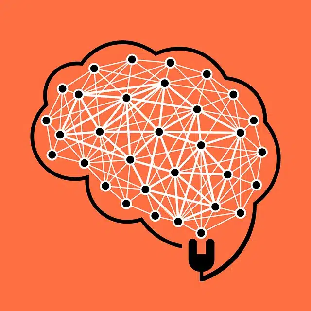 Identificación de los pensamientos y emociones evitados.