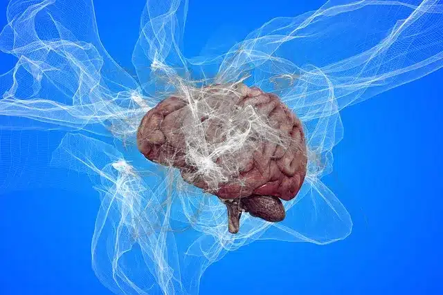 La naturaleza cognitiva frente a la emocional